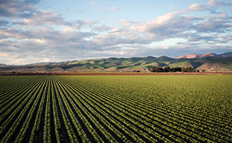 a farm landscape with green fields